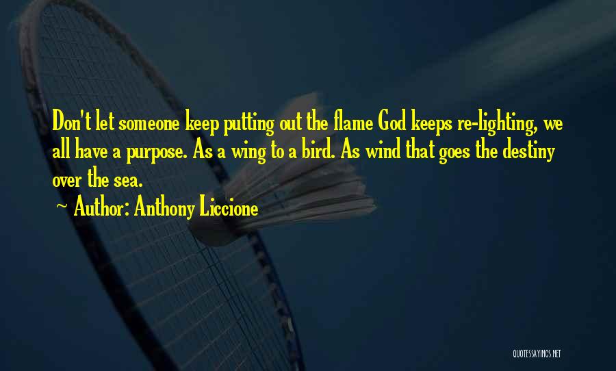 Anthony Liccione Quotes: Don't Let Someone Keep Putting Out The Flame God Keeps Re-lighting, We All Have A Purpose. As A Wing To