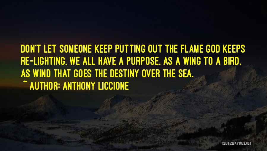 Anthony Liccione Quotes: Don't Let Someone Keep Putting Out The Flame God Keeps Re-lighting, We All Have A Purpose. As A Wing To