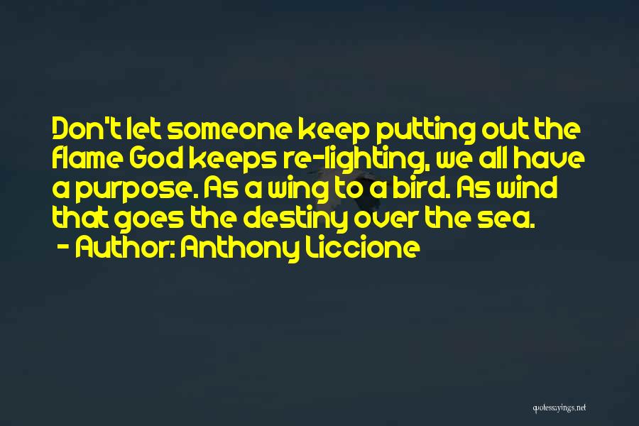 Anthony Liccione Quotes: Don't Let Someone Keep Putting Out The Flame God Keeps Re-lighting, We All Have A Purpose. As A Wing To