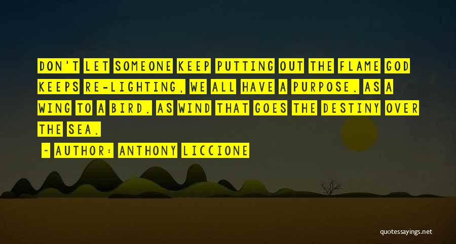 Anthony Liccione Quotes: Don't Let Someone Keep Putting Out The Flame God Keeps Re-lighting, We All Have A Purpose. As A Wing To