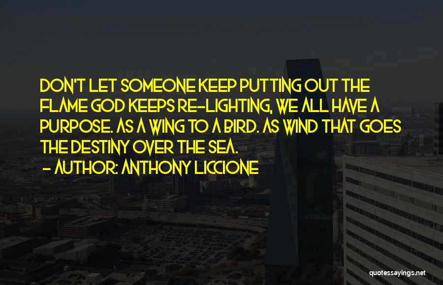 Anthony Liccione Quotes: Don't Let Someone Keep Putting Out The Flame God Keeps Re-lighting, We All Have A Purpose. As A Wing To