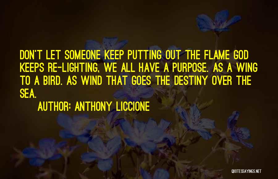 Anthony Liccione Quotes: Don't Let Someone Keep Putting Out The Flame God Keeps Re-lighting, We All Have A Purpose. As A Wing To