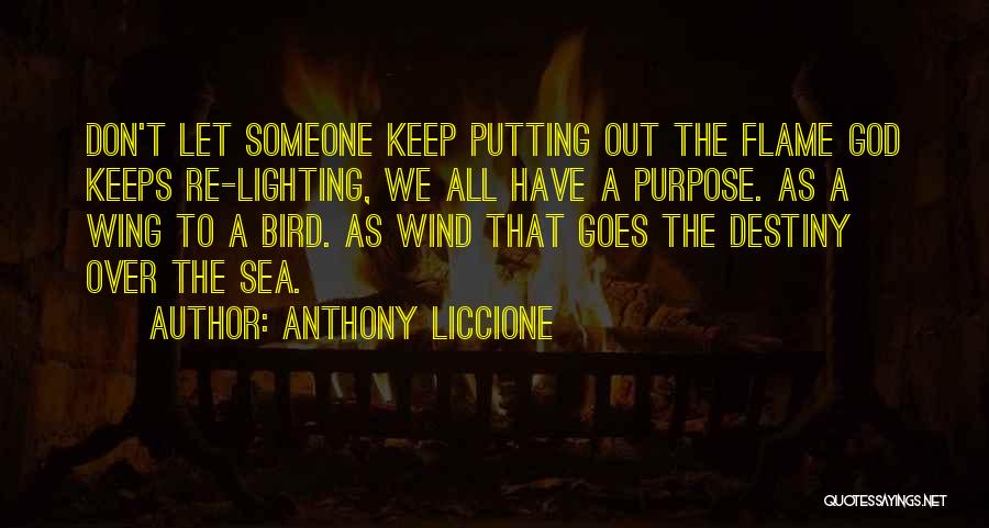 Anthony Liccione Quotes: Don't Let Someone Keep Putting Out The Flame God Keeps Re-lighting, We All Have A Purpose. As A Wing To