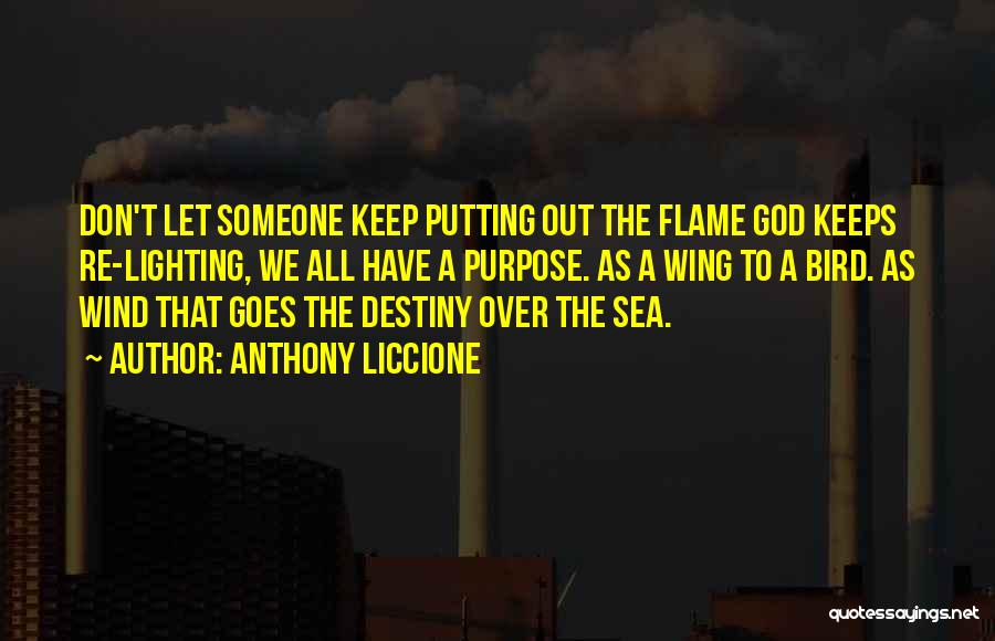 Anthony Liccione Quotes: Don't Let Someone Keep Putting Out The Flame God Keeps Re-lighting, We All Have A Purpose. As A Wing To