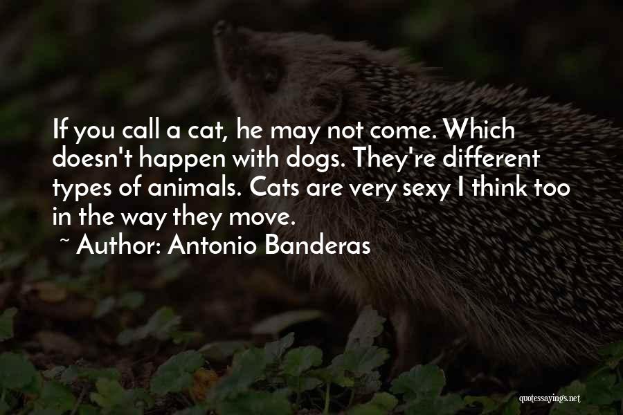 Antonio Banderas Quotes: If You Call A Cat, He May Not Come. Which Doesn't Happen With Dogs. They're Different Types Of Animals. Cats