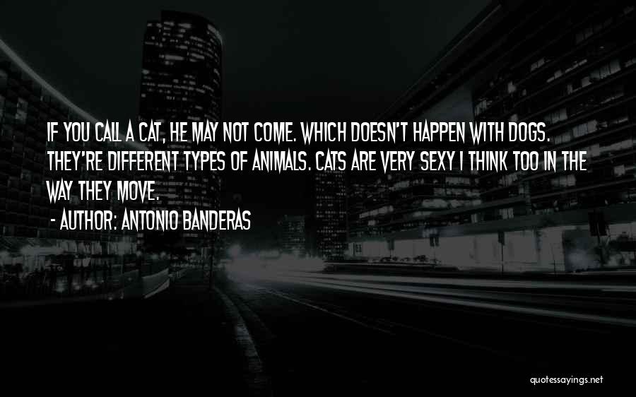 Antonio Banderas Quotes: If You Call A Cat, He May Not Come. Which Doesn't Happen With Dogs. They're Different Types Of Animals. Cats