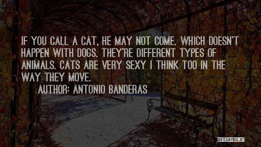 Antonio Banderas Quotes: If You Call A Cat, He May Not Come. Which Doesn't Happen With Dogs. They're Different Types Of Animals. Cats