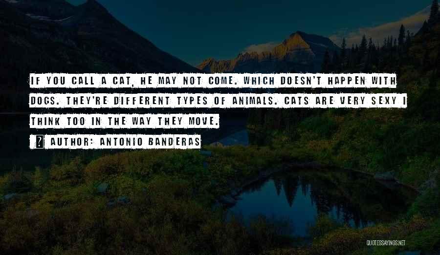 Antonio Banderas Quotes: If You Call A Cat, He May Not Come. Which Doesn't Happen With Dogs. They're Different Types Of Animals. Cats