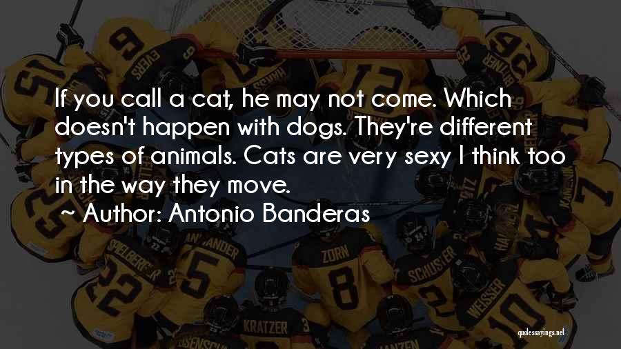 Antonio Banderas Quotes: If You Call A Cat, He May Not Come. Which Doesn't Happen With Dogs. They're Different Types Of Animals. Cats