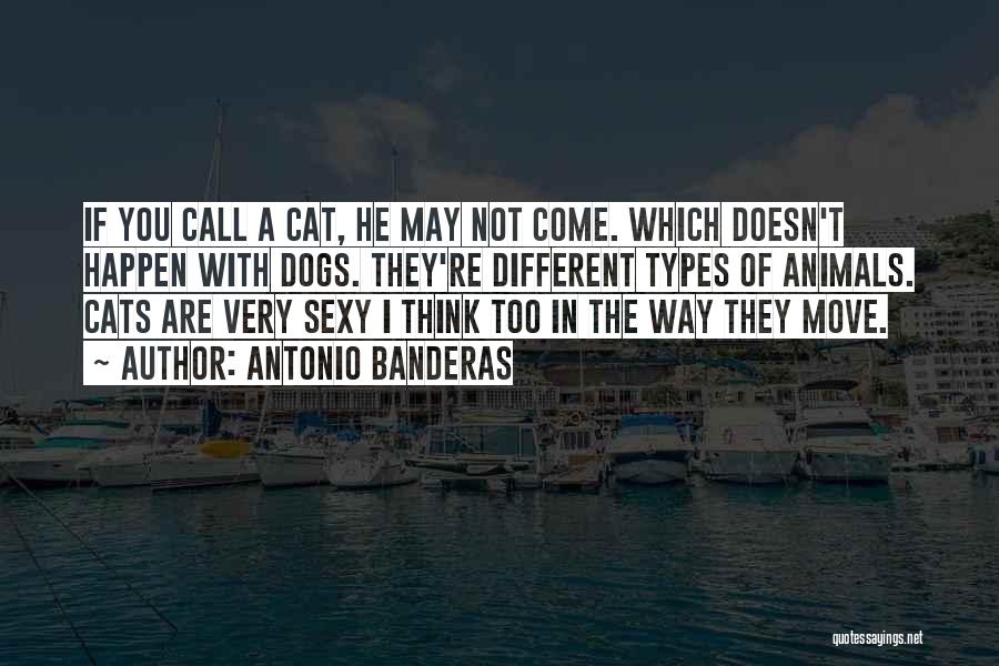 Antonio Banderas Quotes: If You Call A Cat, He May Not Come. Which Doesn't Happen With Dogs. They're Different Types Of Animals. Cats