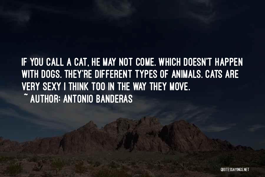 Antonio Banderas Quotes: If You Call A Cat, He May Not Come. Which Doesn't Happen With Dogs. They're Different Types Of Animals. Cats