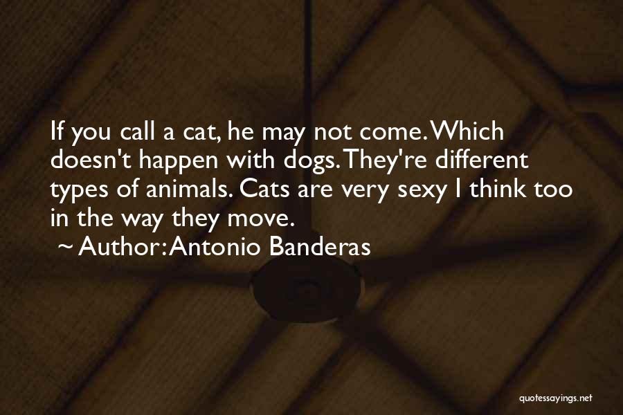 Antonio Banderas Quotes: If You Call A Cat, He May Not Come. Which Doesn't Happen With Dogs. They're Different Types Of Animals. Cats