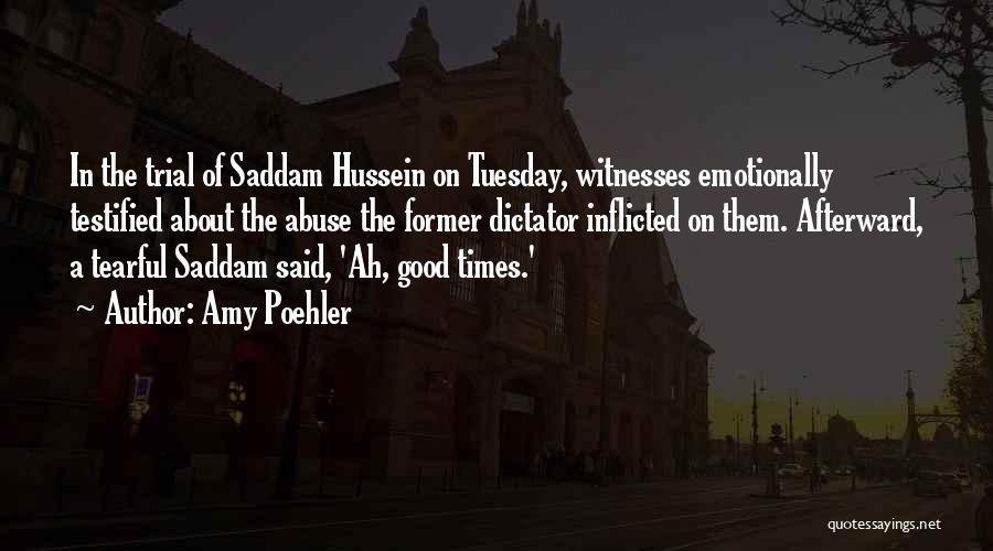 Amy Poehler Quotes: In The Trial Of Saddam Hussein On Tuesday, Witnesses Emotionally Testified About The Abuse The Former Dictator Inflicted On Them.