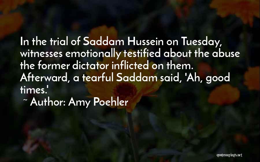 Amy Poehler Quotes: In The Trial Of Saddam Hussein On Tuesday, Witnesses Emotionally Testified About The Abuse The Former Dictator Inflicted On Them.