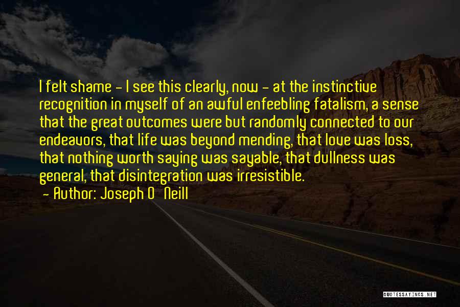 Joseph O'Neill Quotes: I Felt Shame - I See This Clearly, Now - At The Instinctive Recognition In Myself Of An Awful Enfeebling