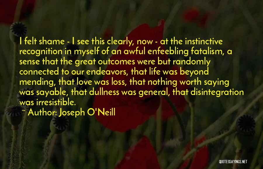 Joseph O'Neill Quotes: I Felt Shame - I See This Clearly, Now - At The Instinctive Recognition In Myself Of An Awful Enfeebling