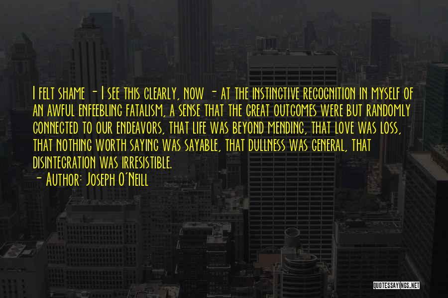 Joseph O'Neill Quotes: I Felt Shame - I See This Clearly, Now - At The Instinctive Recognition In Myself Of An Awful Enfeebling