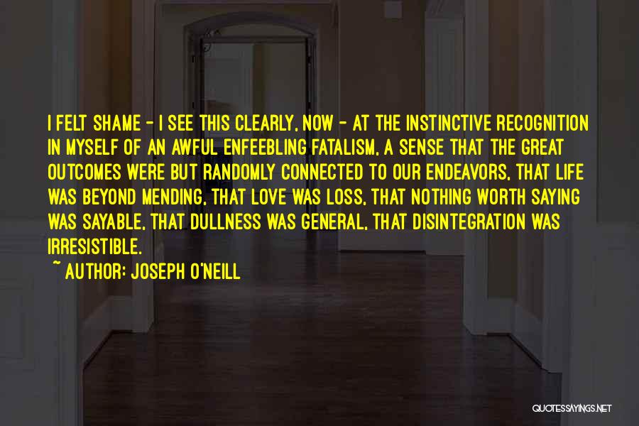 Joseph O'Neill Quotes: I Felt Shame - I See This Clearly, Now - At The Instinctive Recognition In Myself Of An Awful Enfeebling