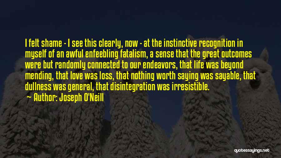 Joseph O'Neill Quotes: I Felt Shame - I See This Clearly, Now - At The Instinctive Recognition In Myself Of An Awful Enfeebling