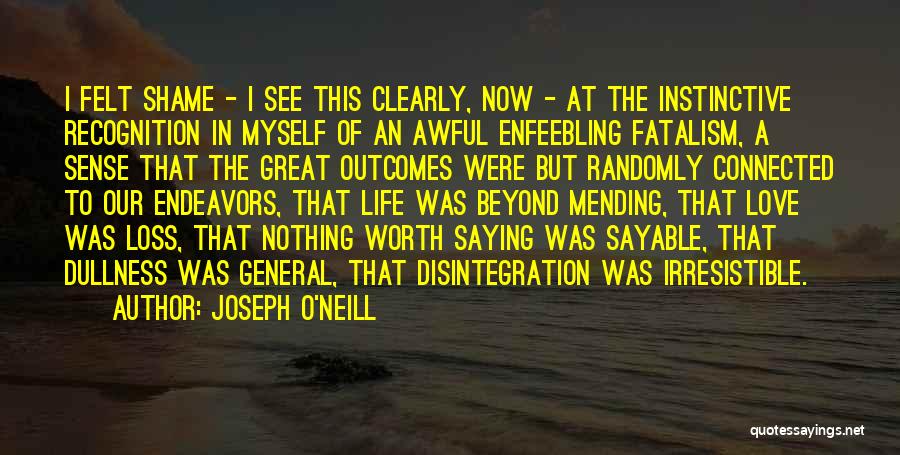 Joseph O'Neill Quotes: I Felt Shame - I See This Clearly, Now - At The Instinctive Recognition In Myself Of An Awful Enfeebling