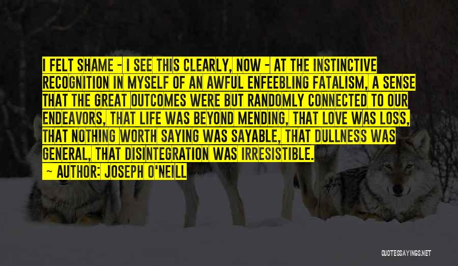 Joseph O'Neill Quotes: I Felt Shame - I See This Clearly, Now - At The Instinctive Recognition In Myself Of An Awful Enfeebling