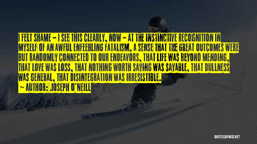 Joseph O'Neill Quotes: I Felt Shame - I See This Clearly, Now - At The Instinctive Recognition In Myself Of An Awful Enfeebling