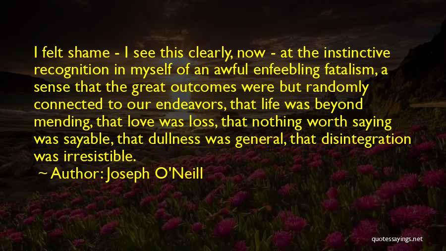 Joseph O'Neill Quotes: I Felt Shame - I See This Clearly, Now - At The Instinctive Recognition In Myself Of An Awful Enfeebling