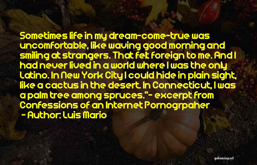 Luis Mario Quotes: Sometimes Life In My Dream-come-true Was Uncomfortable, Like Waving Good Morning And Smiling At Strangers. That Felt Foreign To Me.