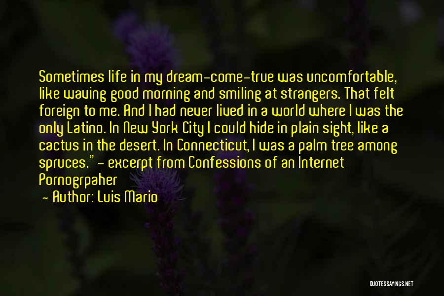 Luis Mario Quotes: Sometimes Life In My Dream-come-true Was Uncomfortable, Like Waving Good Morning And Smiling At Strangers. That Felt Foreign To Me.