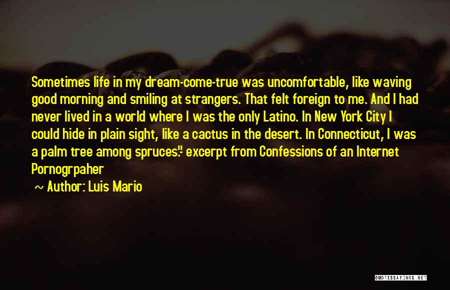 Luis Mario Quotes: Sometimes Life In My Dream-come-true Was Uncomfortable, Like Waving Good Morning And Smiling At Strangers. That Felt Foreign To Me.