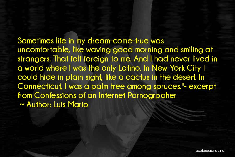 Luis Mario Quotes: Sometimes Life In My Dream-come-true Was Uncomfortable, Like Waving Good Morning And Smiling At Strangers. That Felt Foreign To Me.