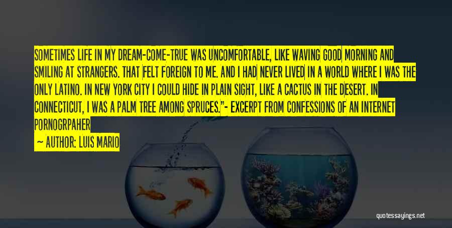 Luis Mario Quotes: Sometimes Life In My Dream-come-true Was Uncomfortable, Like Waving Good Morning And Smiling At Strangers. That Felt Foreign To Me.