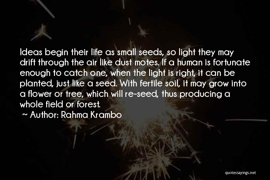 Rahma Krambo Quotes: Ideas Begin Their Life As Small Seeds, So Light They May Drift Through The Air Like Dust Motes. If A