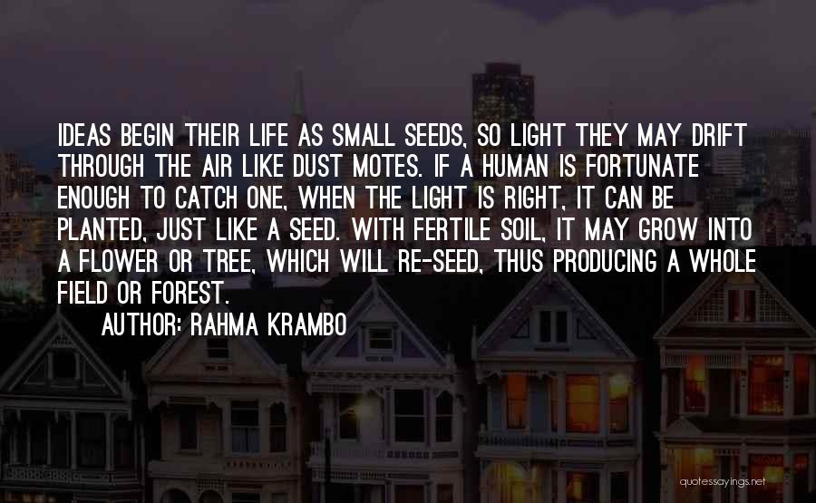 Rahma Krambo Quotes: Ideas Begin Their Life As Small Seeds, So Light They May Drift Through The Air Like Dust Motes. If A