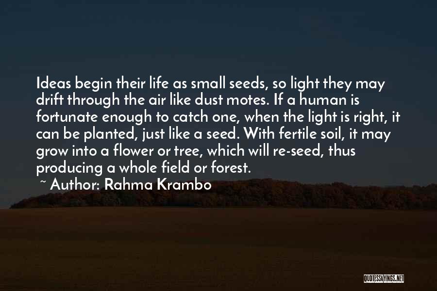 Rahma Krambo Quotes: Ideas Begin Their Life As Small Seeds, So Light They May Drift Through The Air Like Dust Motes. If A