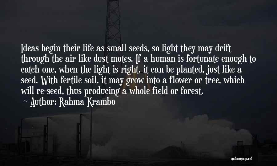 Rahma Krambo Quotes: Ideas Begin Their Life As Small Seeds, So Light They May Drift Through The Air Like Dust Motes. If A