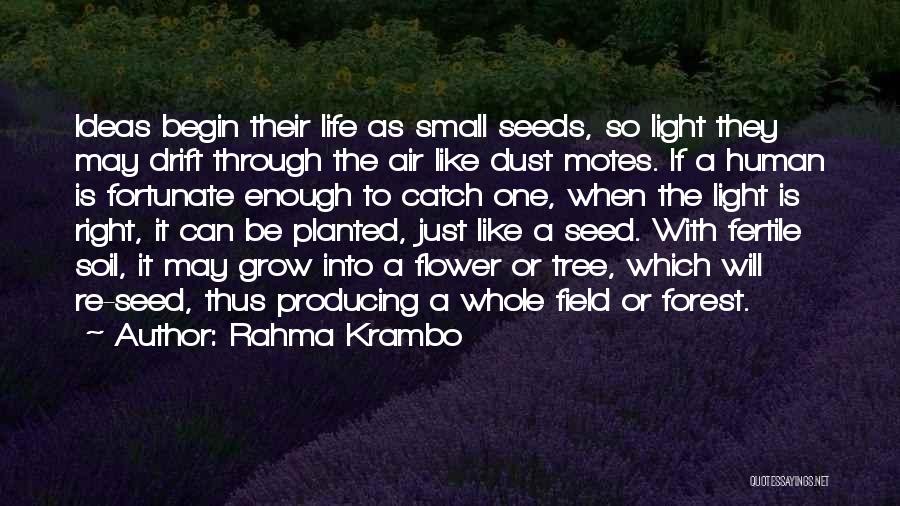 Rahma Krambo Quotes: Ideas Begin Their Life As Small Seeds, So Light They May Drift Through The Air Like Dust Motes. If A