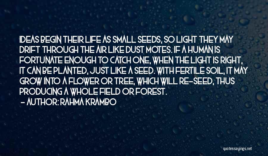 Rahma Krambo Quotes: Ideas Begin Their Life As Small Seeds, So Light They May Drift Through The Air Like Dust Motes. If A