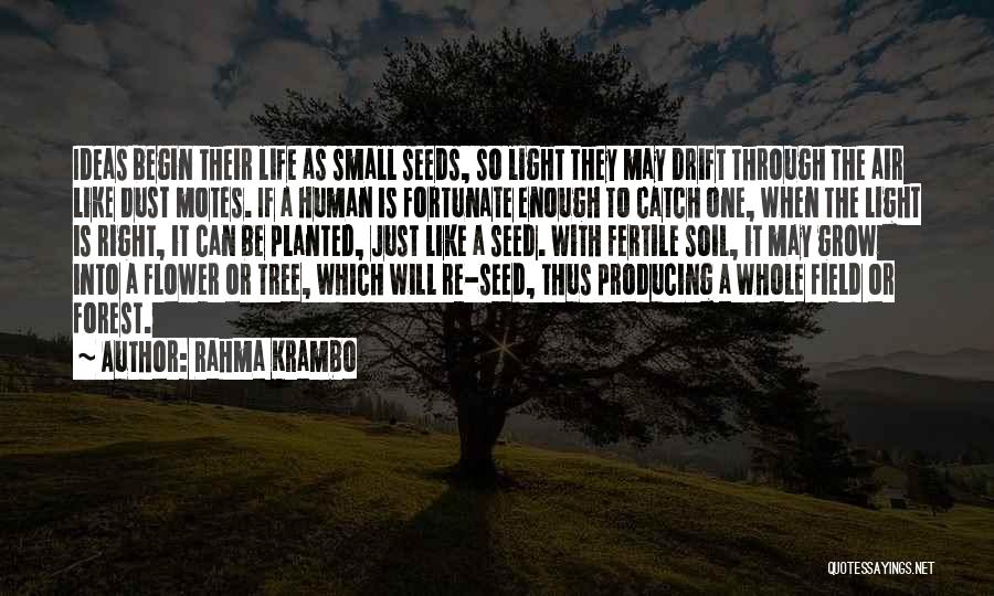 Rahma Krambo Quotes: Ideas Begin Their Life As Small Seeds, So Light They May Drift Through The Air Like Dust Motes. If A