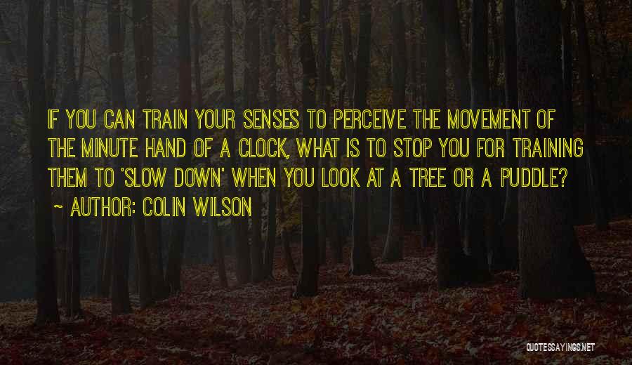 Colin Wilson Quotes: If You Can Train Your Senses To Perceive The Movement Of The Minute Hand Of A Clock, What Is To