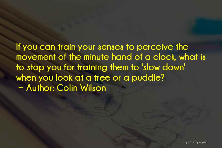 Colin Wilson Quotes: If You Can Train Your Senses To Perceive The Movement Of The Minute Hand Of A Clock, What Is To