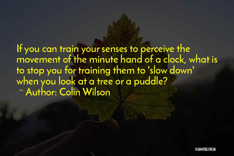 Colin Wilson Quotes: If You Can Train Your Senses To Perceive The Movement Of The Minute Hand Of A Clock, What Is To