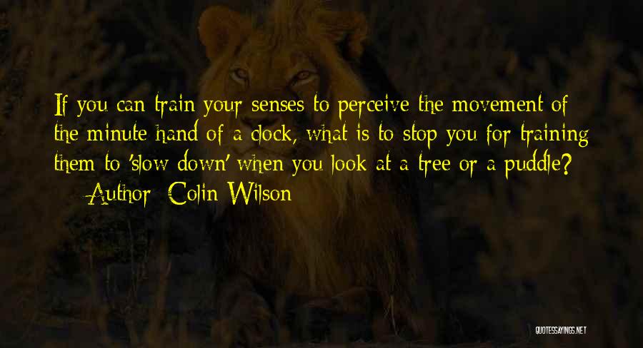 Colin Wilson Quotes: If You Can Train Your Senses To Perceive The Movement Of The Minute Hand Of A Clock, What Is To