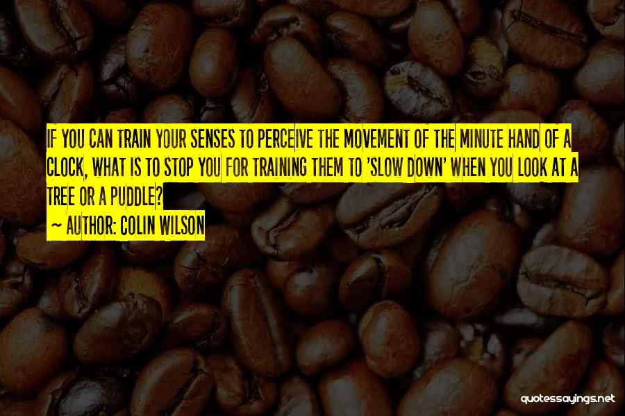 Colin Wilson Quotes: If You Can Train Your Senses To Perceive The Movement Of The Minute Hand Of A Clock, What Is To