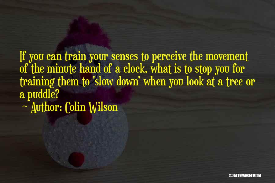 Colin Wilson Quotes: If You Can Train Your Senses To Perceive The Movement Of The Minute Hand Of A Clock, What Is To