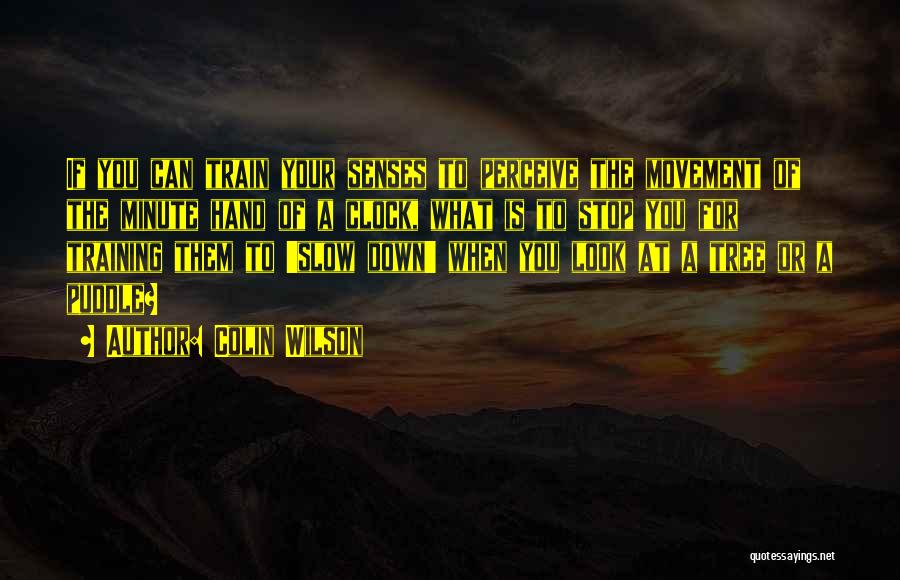 Colin Wilson Quotes: If You Can Train Your Senses To Perceive The Movement Of The Minute Hand Of A Clock, What Is To