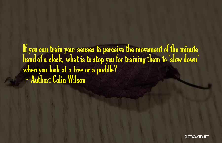 Colin Wilson Quotes: If You Can Train Your Senses To Perceive The Movement Of The Minute Hand Of A Clock, What Is To