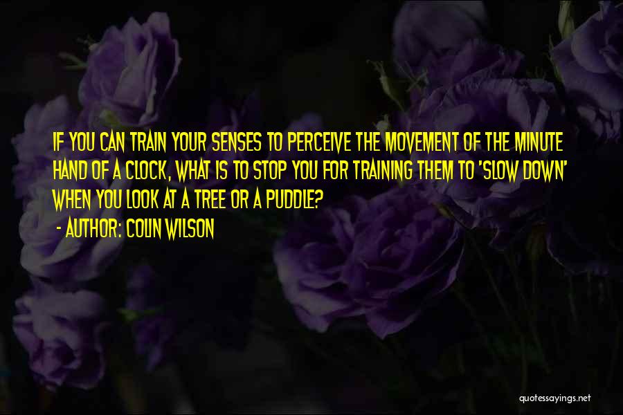 Colin Wilson Quotes: If You Can Train Your Senses To Perceive The Movement Of The Minute Hand Of A Clock, What Is To