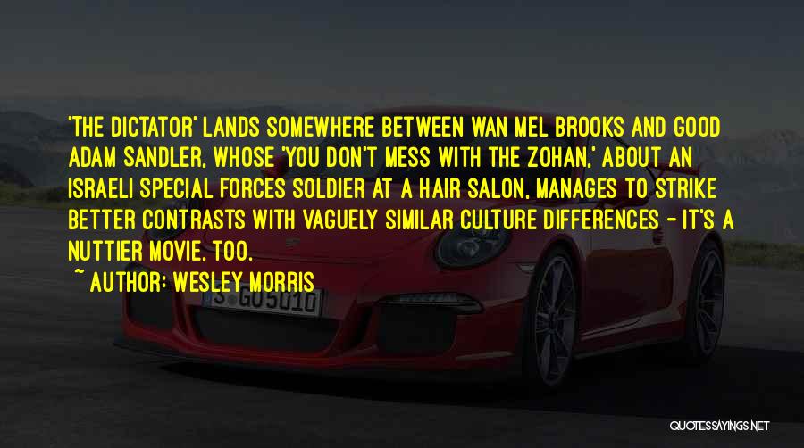 Wesley Morris Quotes: 'the Dictator' Lands Somewhere Between Wan Mel Brooks And Good Adam Sandler, Whose 'you Don't Mess With The Zohan,' About