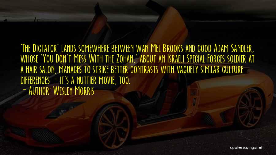 Wesley Morris Quotes: 'the Dictator' Lands Somewhere Between Wan Mel Brooks And Good Adam Sandler, Whose 'you Don't Mess With The Zohan,' About